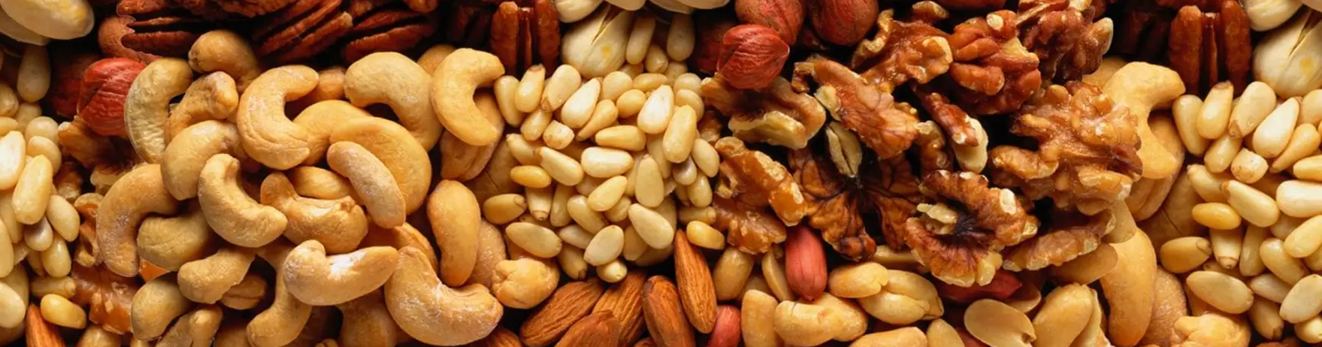 Organik Sertifika Nedir? Organik Sertifika Nedir?