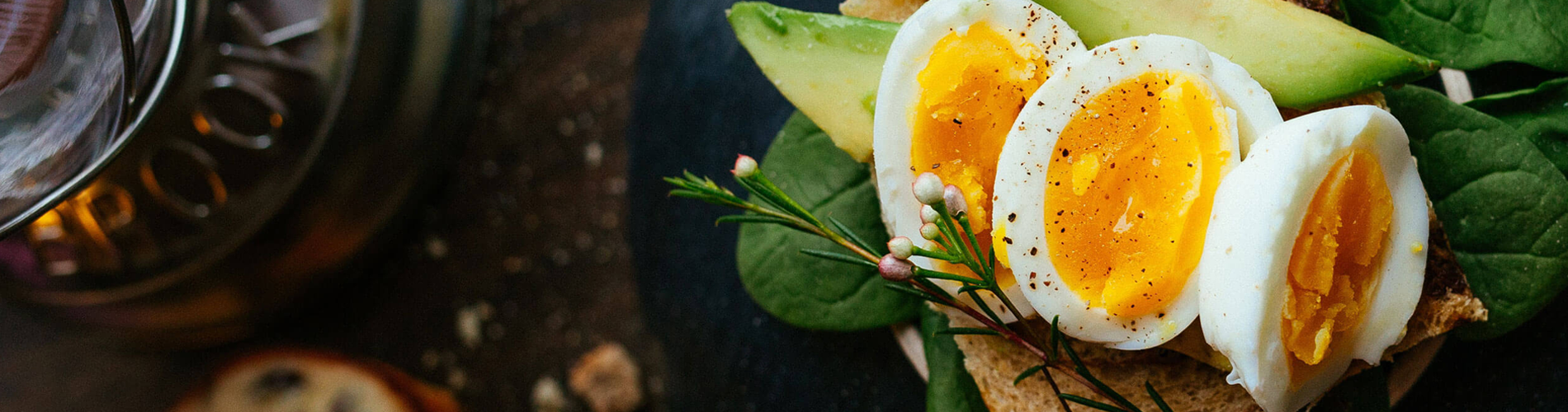 Organik Tarım ve Üretim