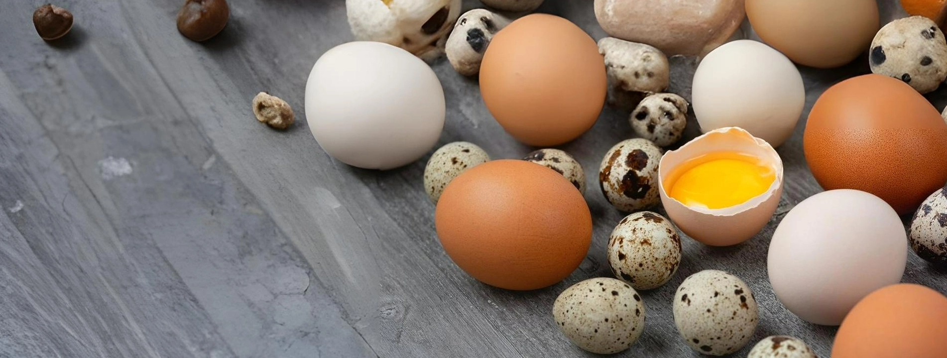 Sağlıklı Sofralar İçin Doğal Seçim